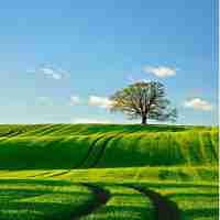 技‍术﻿教‍程﻿论‍坛​