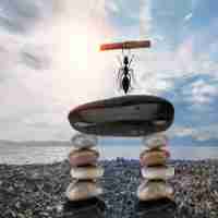 怎‌么​用‍加‍速‌器​上‌外‌网‌